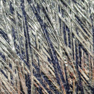 Бобина Silver Star ПОТАЛЬ