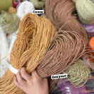 Рафия в пасме Рафаель (НА ВЕС)