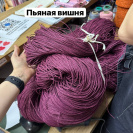 Рафия в пасме Рафаель (НА ВЕС)