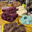 Рафия в пасме Рафаель (НА ВЕС)