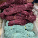 Рафия в пасме Рафаель (НА ВЕС)