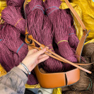 Рафия в пасме Рафаель (НА ВЕС)