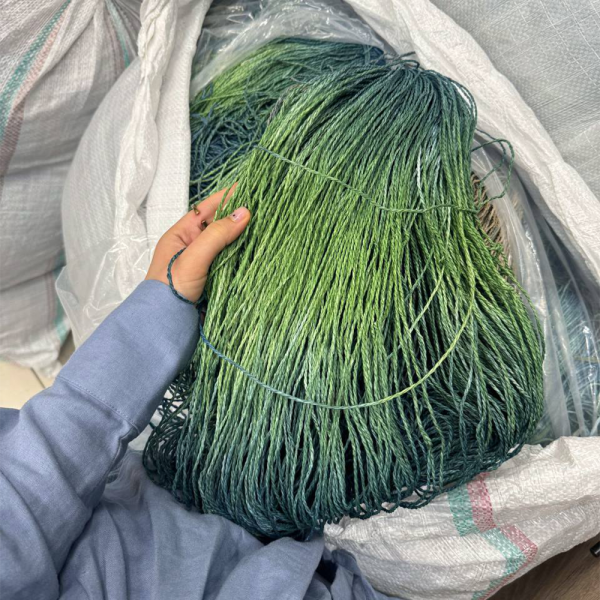 Рафия в пасме Рафаель Дольче Рафия в пасме Рафаель Дольче