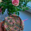 Рафия в пасме Рафаель Дольче Рафия в пасме Рафаель Дольче