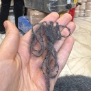 Бобина Exicute