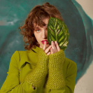 Пряжа Lang Delizia