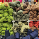 Рафия в пасме Рафаель (НА ВЕС)