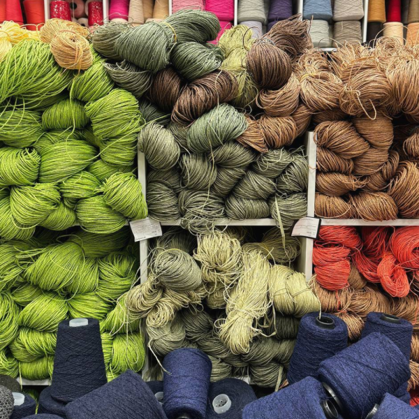 Рафия в пасме Рафаель (НА ВЕС)