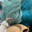 Рафия в пасме Рафаель (НА ВЕС)