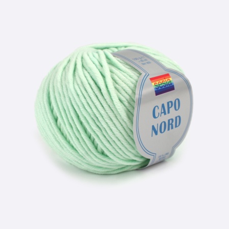 Пряжа Sessia Capo Nord (100% меринос), 90м/100 г. (1017, Мята)