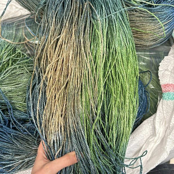 Рафия в пасме Рафаель Дольче Рафия в пасме Рафаель Дольче