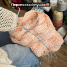 Рафия в пасме Рафаель (НА ВЕС)