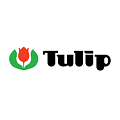 Tulip Tulip