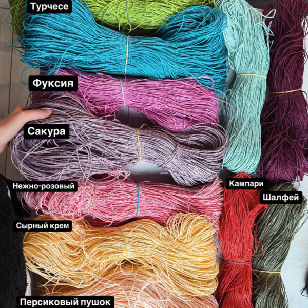 Рафия в пасме Рафаель (НА ВЕС)