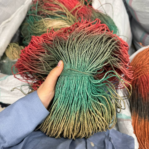 Рафия в пасме Рафаель Дольче Рафия в пасме Рафаель Дольче