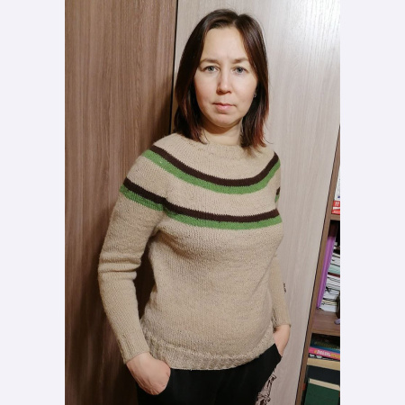 Доступ к онлайн-совместнику. Джемпер круглая кокетка