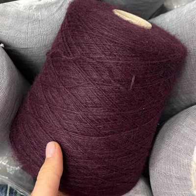 Бобина Regina Plus 2/11 (80% ангора, 20% Па), 800 м (2434, Баклажан)