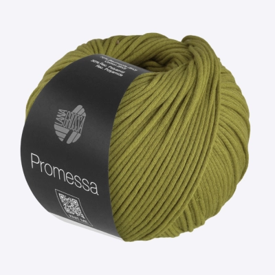 Пряжа Lana Grossa Promessa (62461, 010 Кардамон)