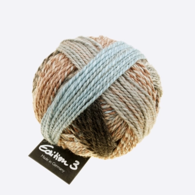 Пряжа Schoppel Edition 3.0 (1523-2349, Латте в заливе)